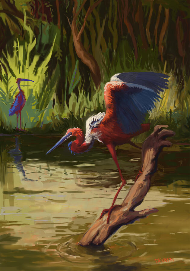 Goliath Heron