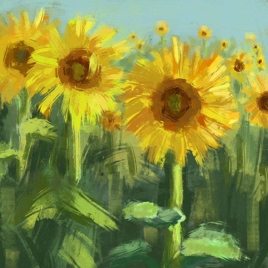 Sunflowers